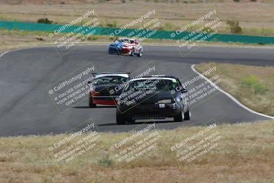 media/May-04-2024-Lucky Dog Racing (Sat) [[d39539b3f3]]/Race Pics/1015am (Turn 2)/